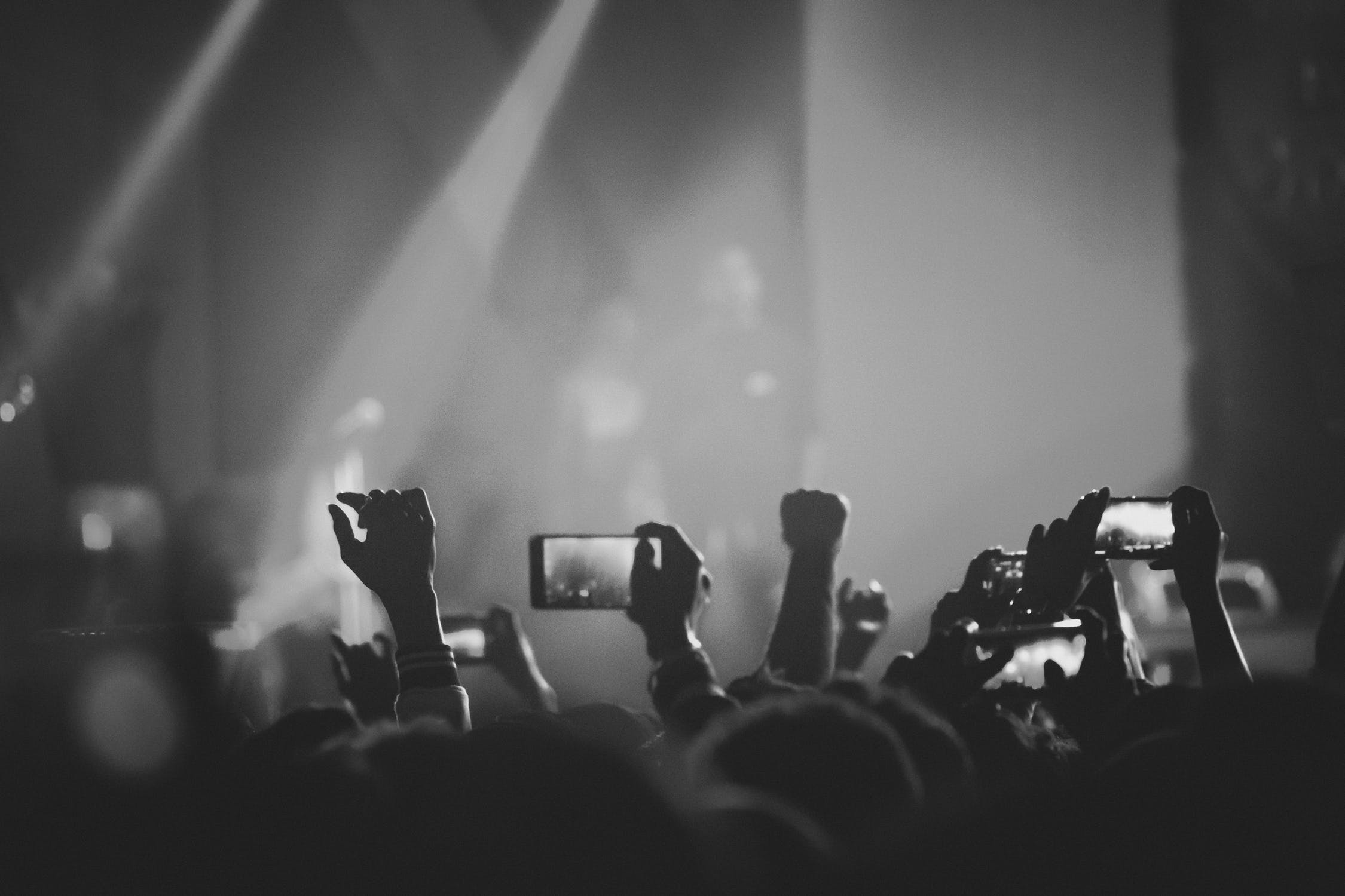 Crowd at a concert